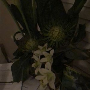 Meet your Posher, Shantel